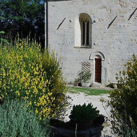 B&B San Paterniano Cingoli Eksteriør bilde